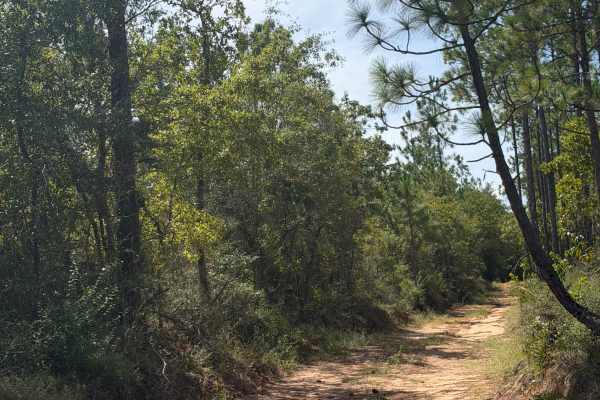 Beaver Creek Road R74