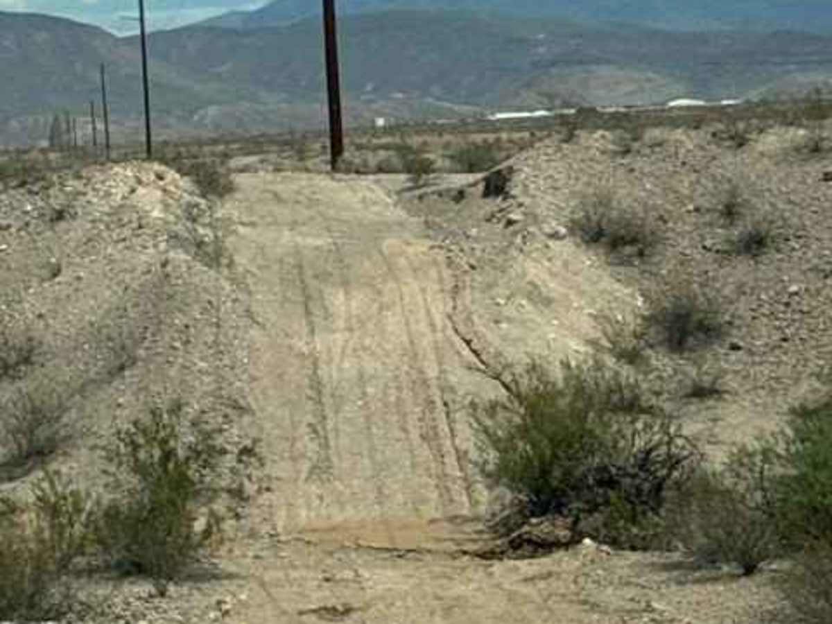 BLM SS1029 photo 3