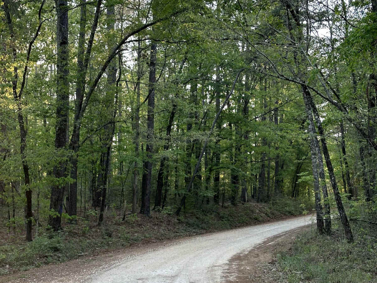 County Road 1125 trail photo