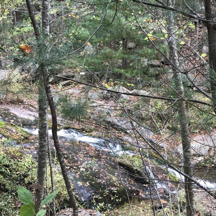 Near Bear Church Rock out and back from Graves Mill