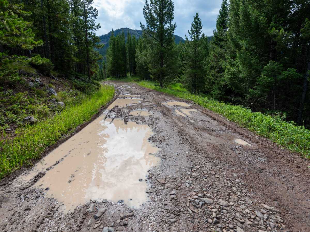 Moose Creek Road - FS 479 photo 5