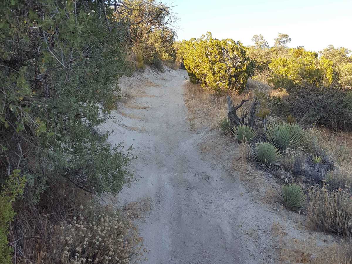 Trail 23 photo 5