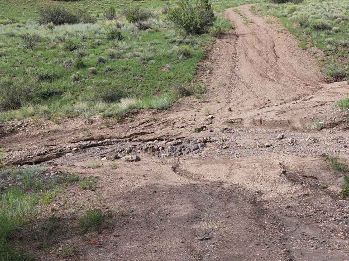 Pinon Cut Off photo 6