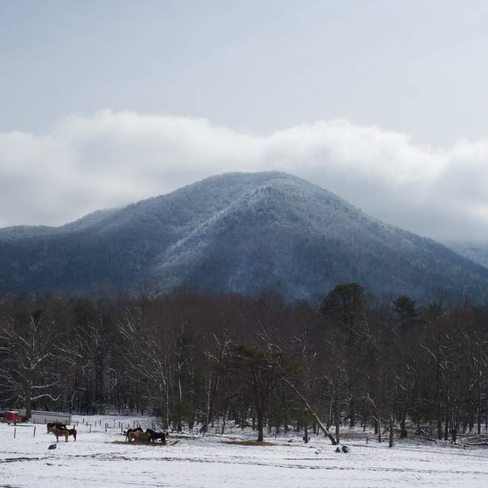 Near Rich Mountain Loop Trail