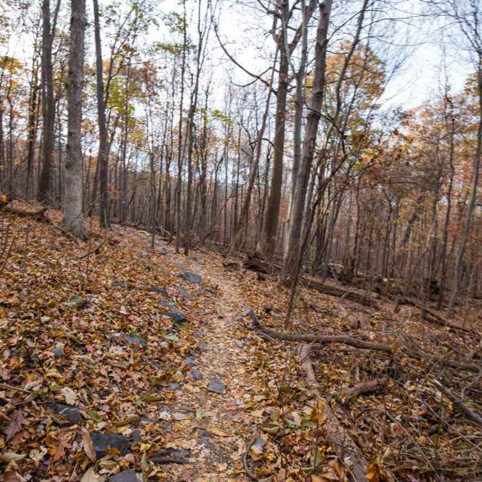 Near Raven Rocks Out-and-Back
