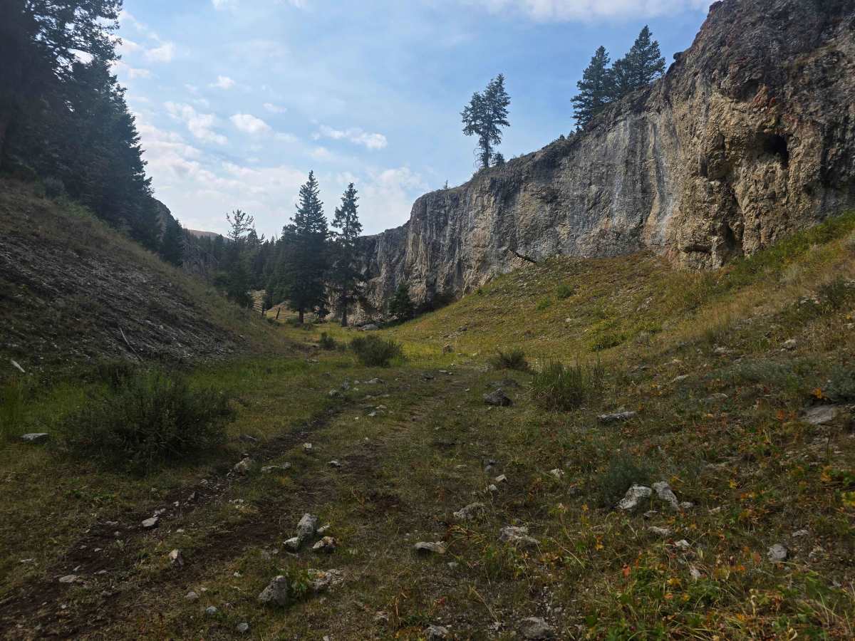 Webber Creek - Divide Creek photo 2