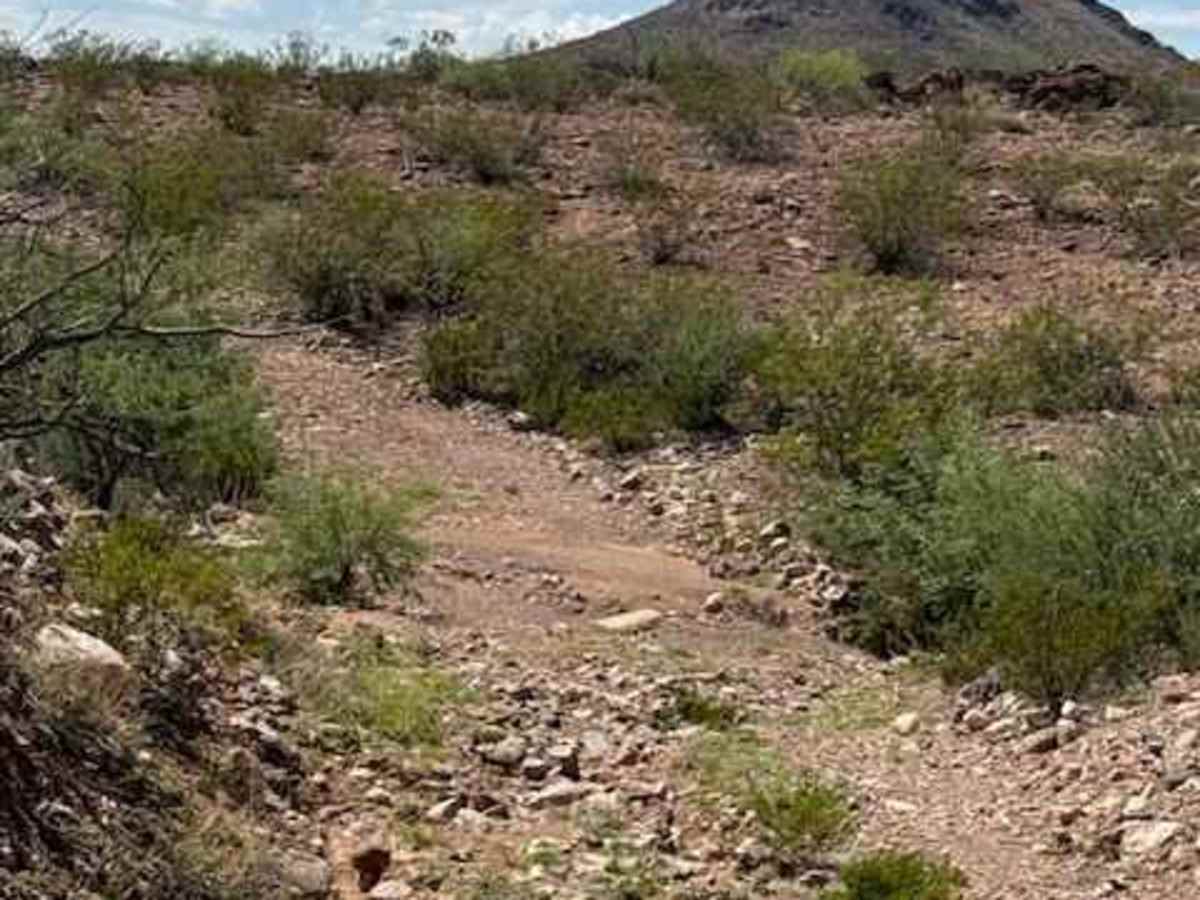 BLM PE1132 photo 4