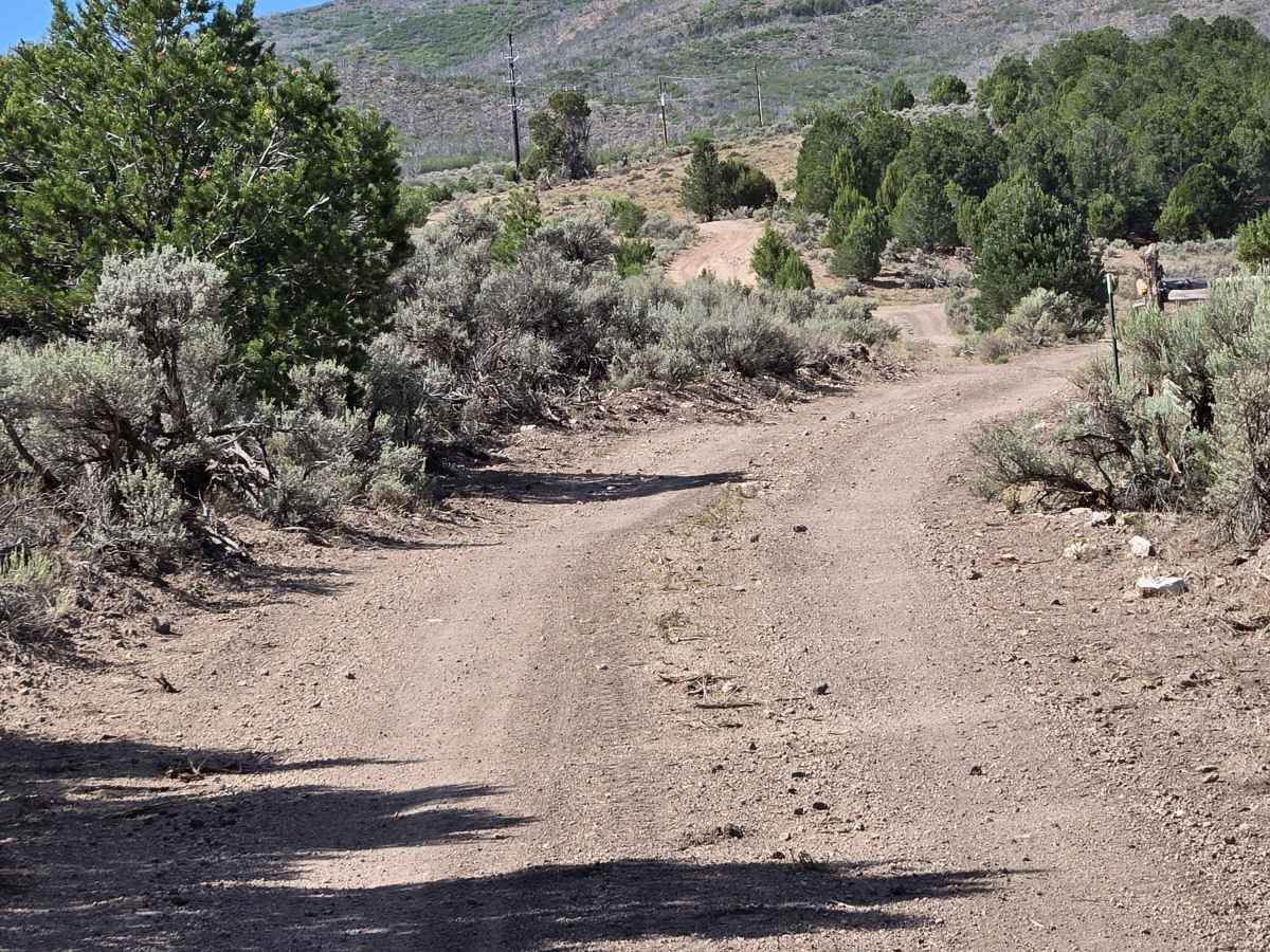 FS 40585 photo 2