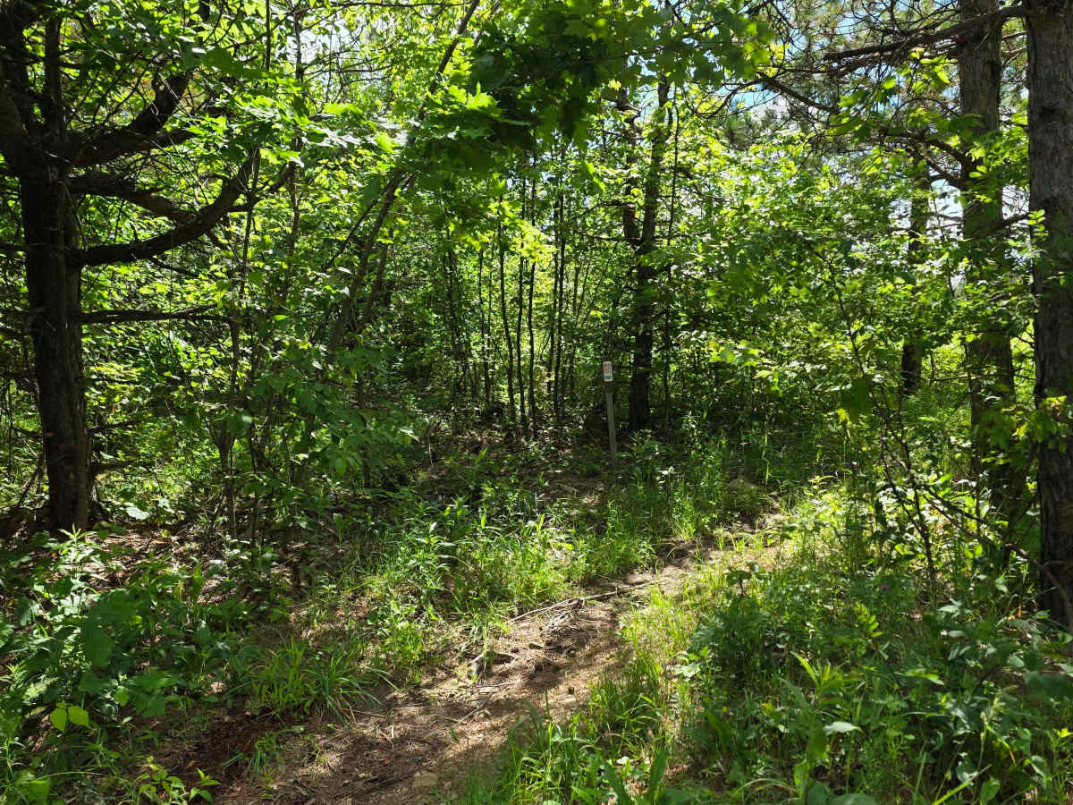 Single Track E photo 5