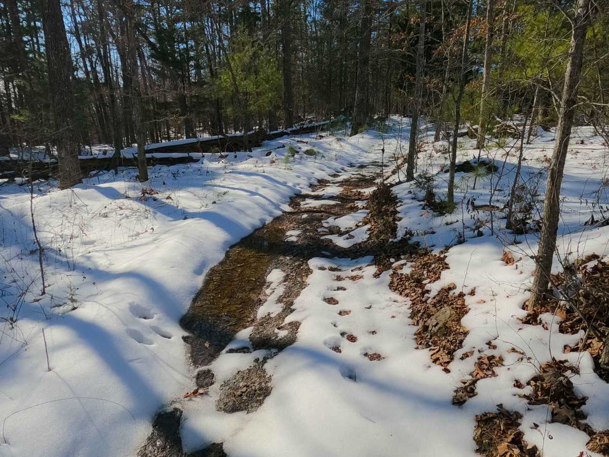 Sutton Bluff ATV 7 North - SB 7 photo 2
