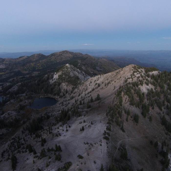 Near Ridge Trail #157