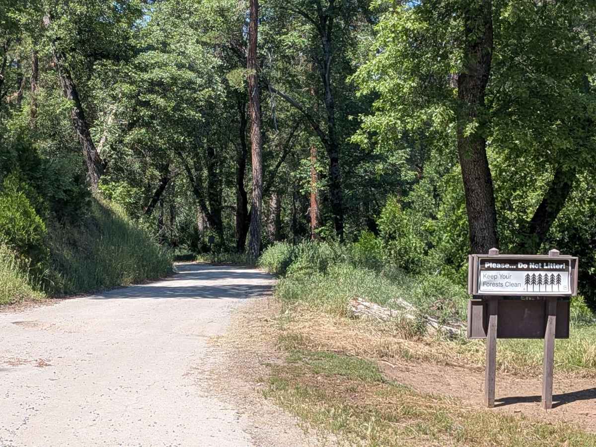 Pine Flat - FS 23S05 trail photo
