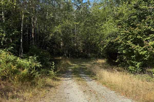 Illabot Powerline Ridge Road