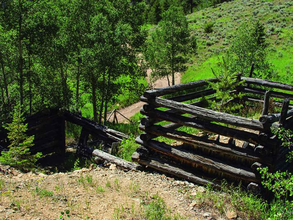 Sevenmile Creek photo 4