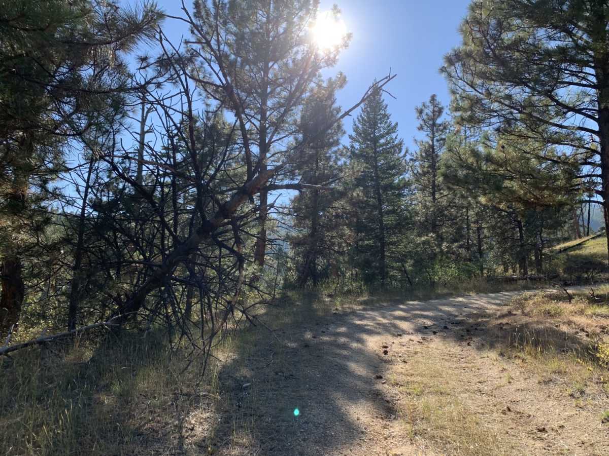 Gash Sweathouse Face Trail trail photo