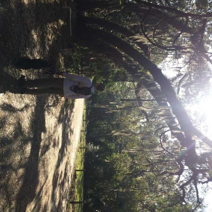 Trail entrance near the boat ramp. Near Cedar Point Route