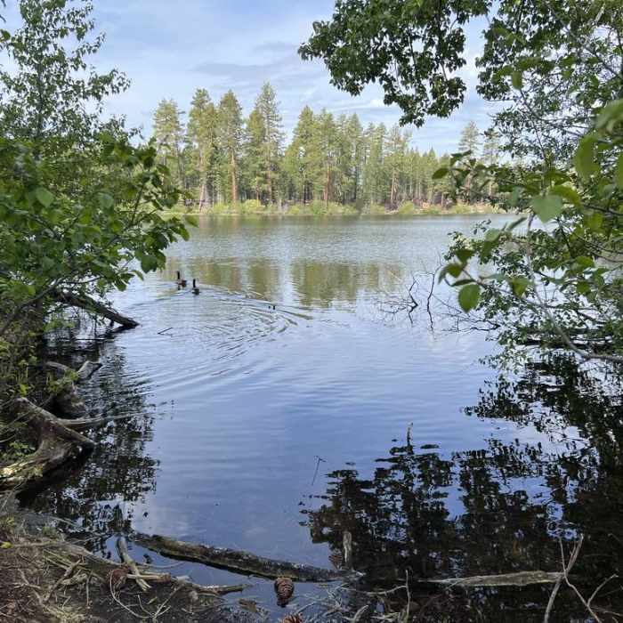 Near Manzanita Lake Loop Trail