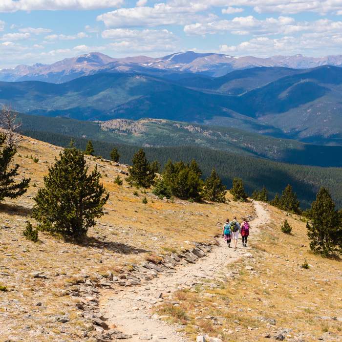 Near Chief Mountain Trail #58