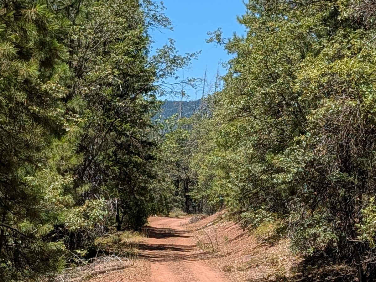 Pit River Rim - FS 36N20 trail photo