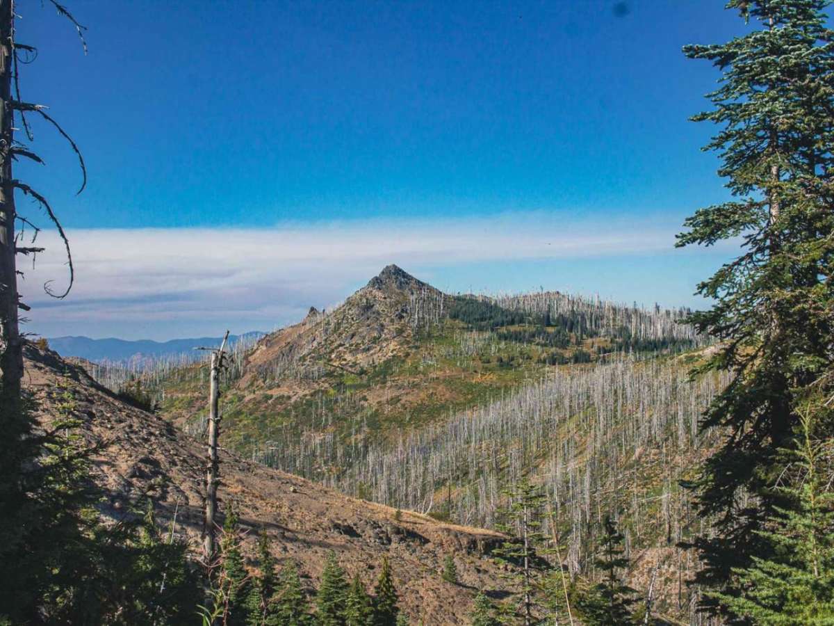 Black Rock trail photo