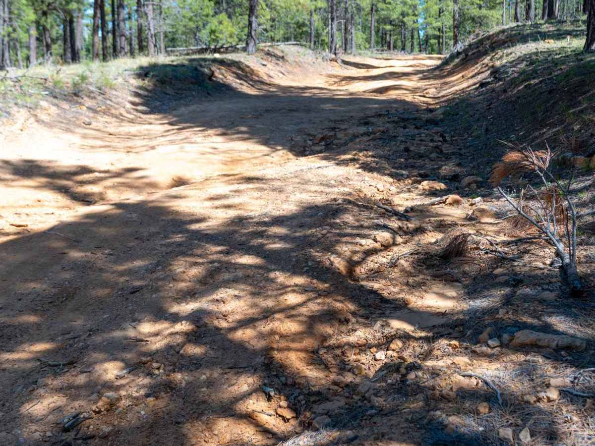 Knoll Ridge - FS 295 photo 4