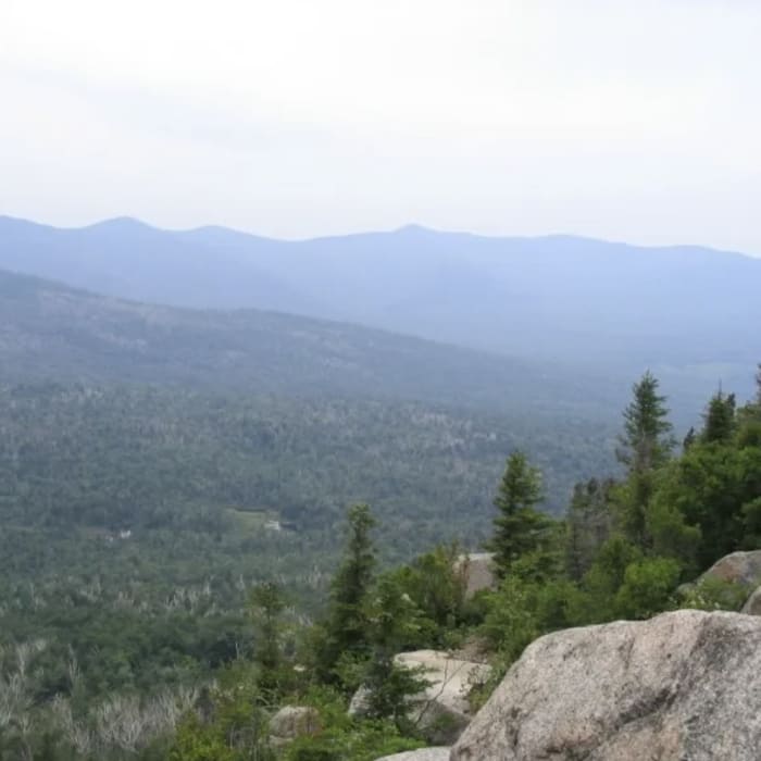 Near Caribou Mountain Loop