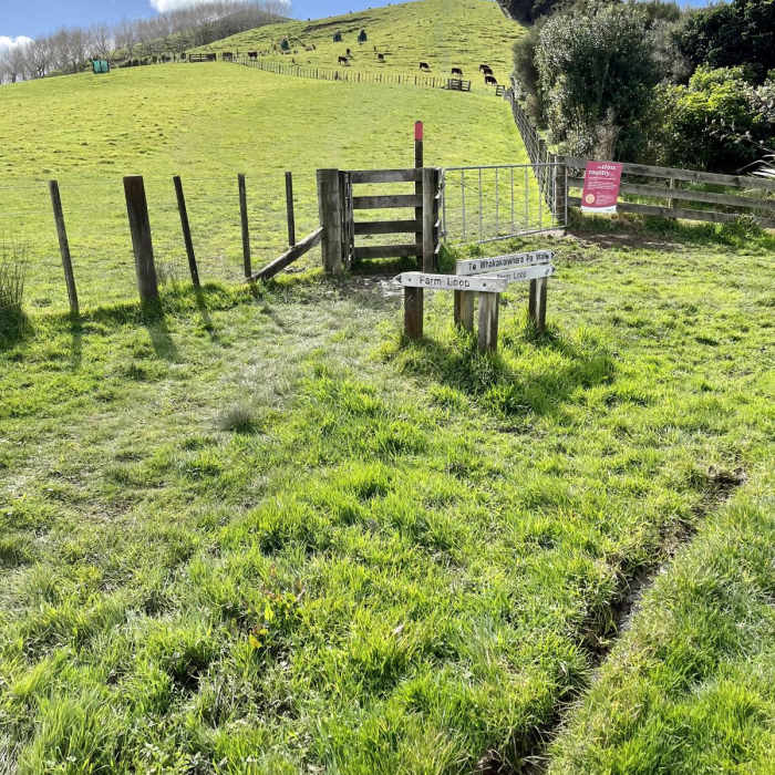 Near Duder Regional Park Loop Near Duder Regional Park Loop