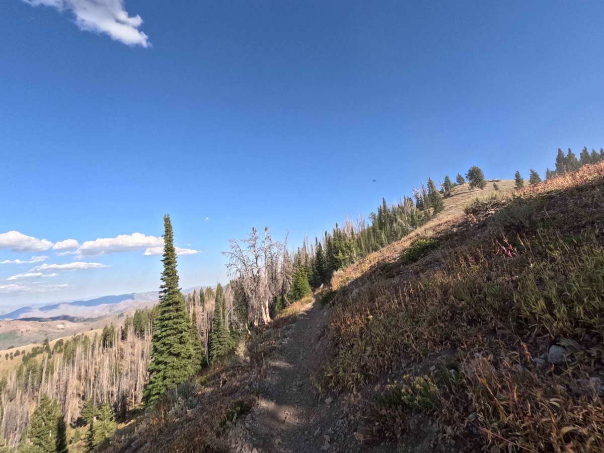 Middle Fork-South Fork 2 - FS 7199 photo 5