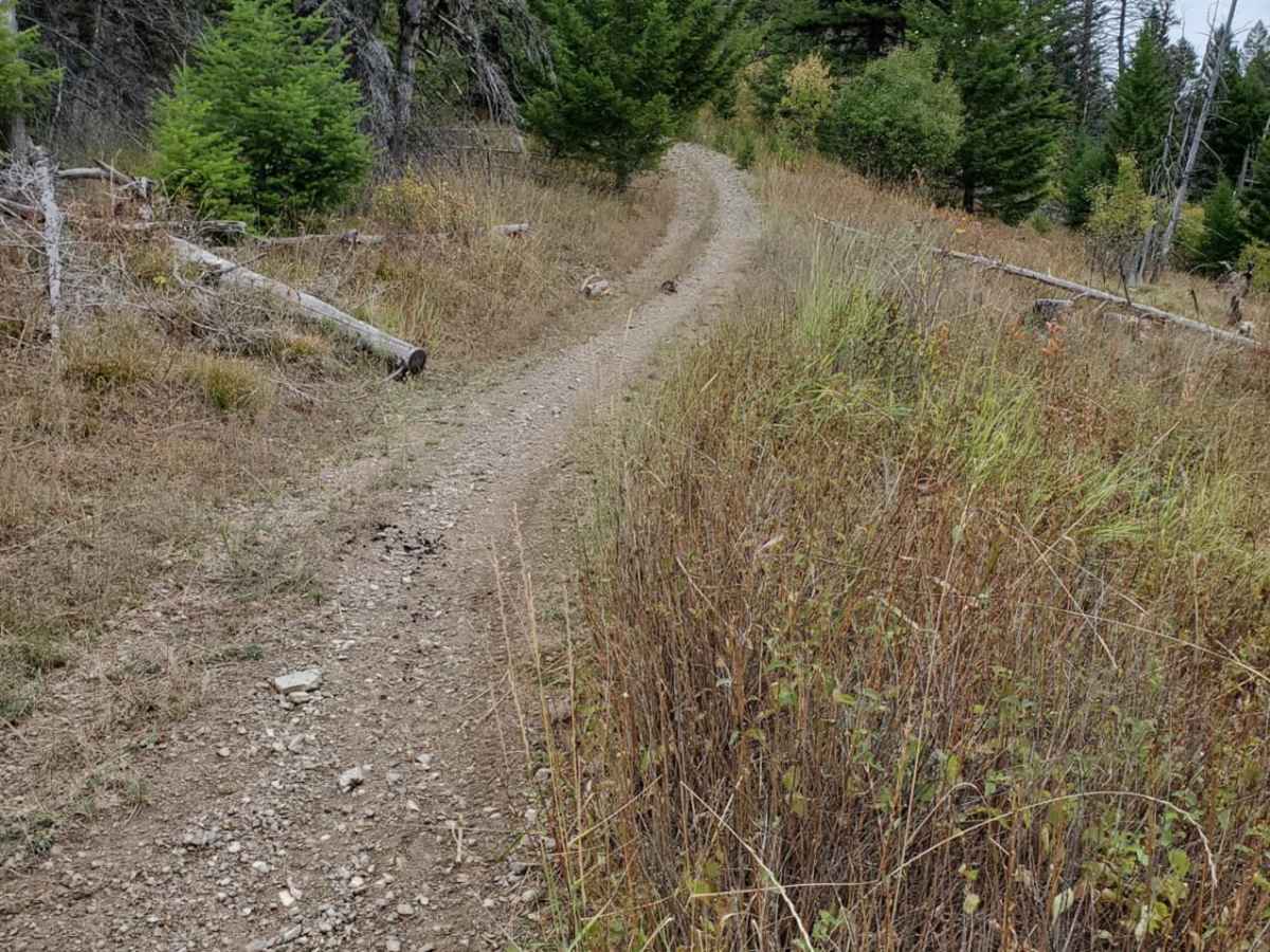 Blue Mountain Lookout Spur (6.07) photo 4
