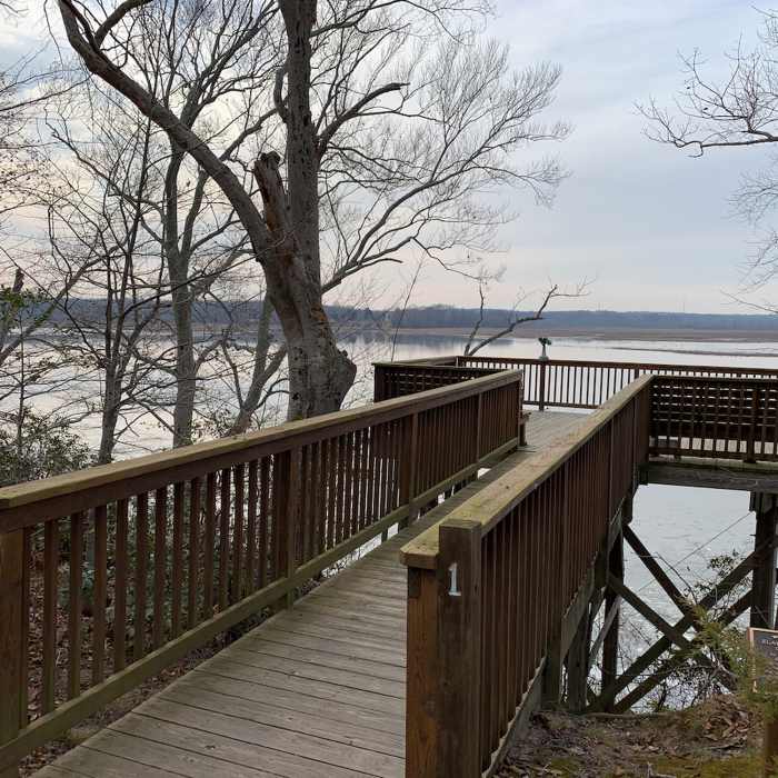 Near Otter Point Trail