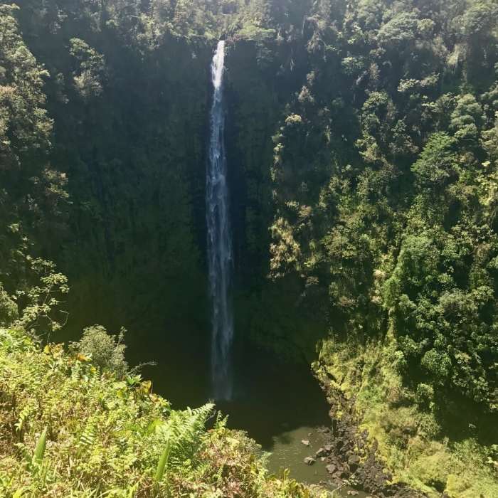 Near Akaka Falls Trail