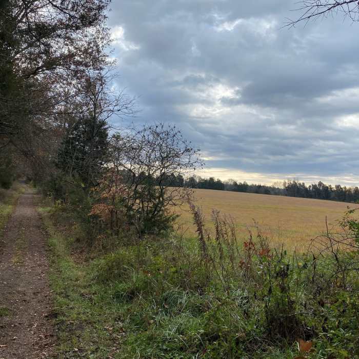 Near Second Battle of Manassas Trail