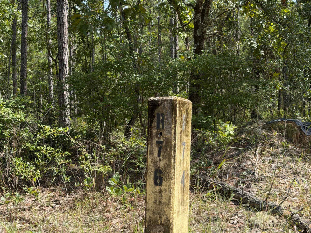 Blackwater River R76 photo 3