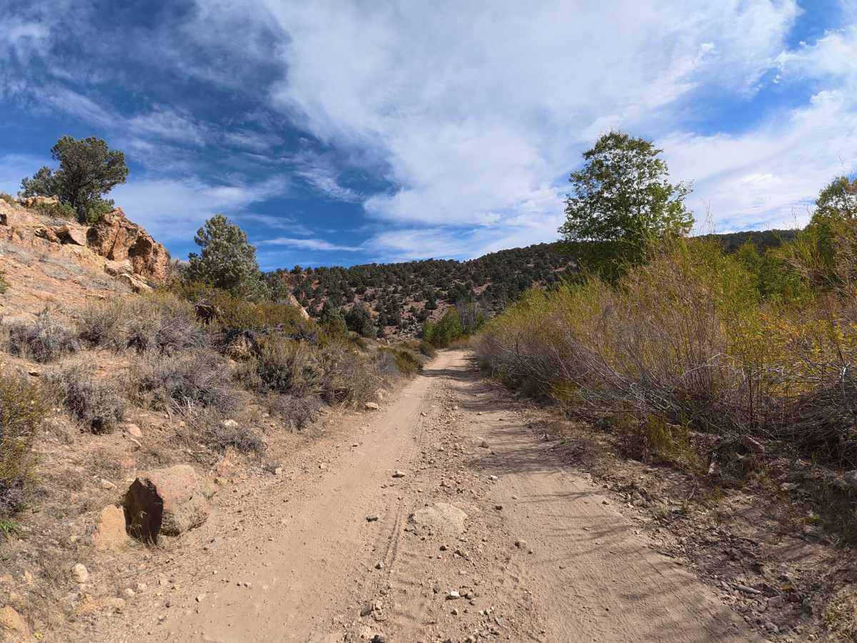 Masonic Gulch photo 4