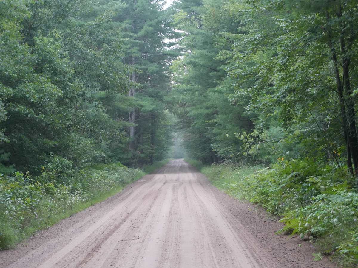 Brush Creek Truck Trail photo 6