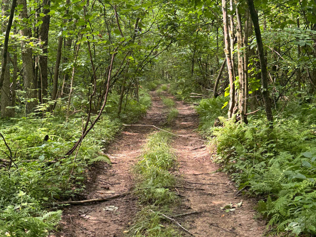 Trail 69 photo 3