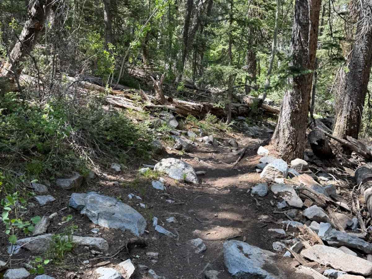 Spring Creek Trail No. 159 photo 5