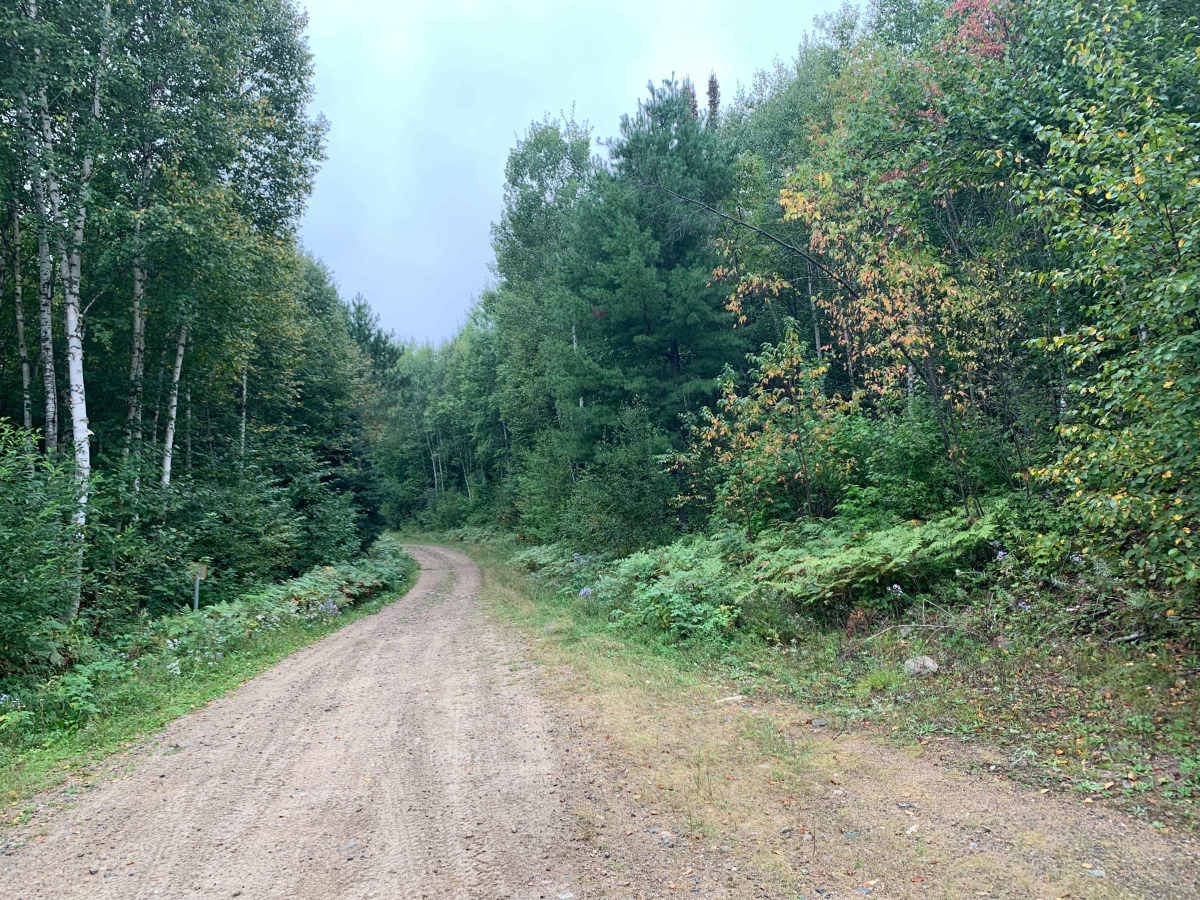 Vermigrade Spur D Trail trail photo