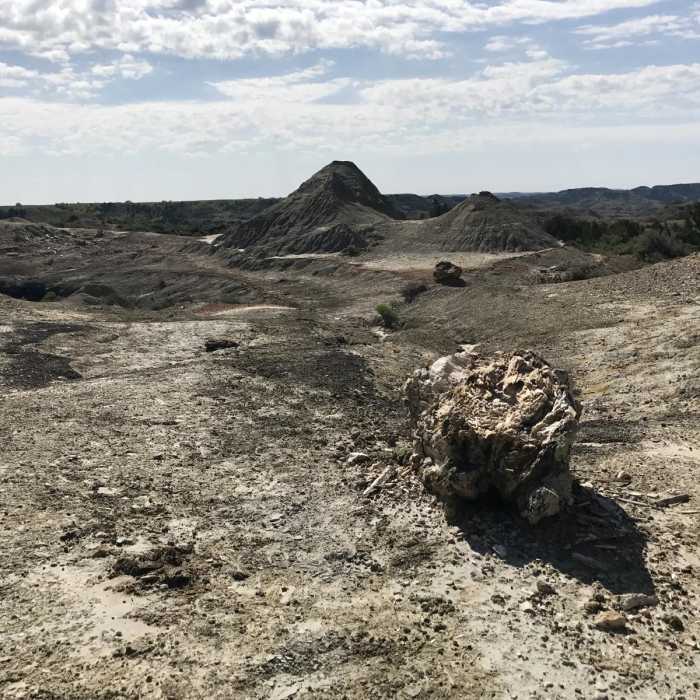 Near Petrified Trail Loop