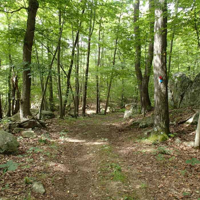 Near Stillwater Loop Trail