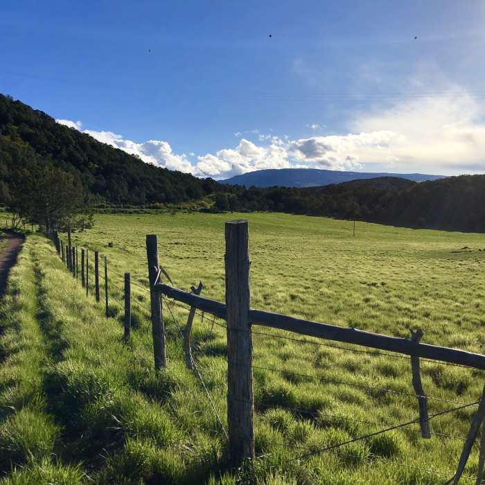 The trail/road along the meadow. Near Sutey Ranch North Loop Access Trail