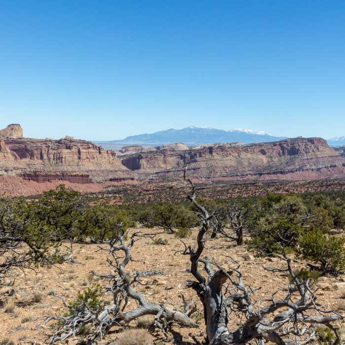 Near Old Wagon Trail