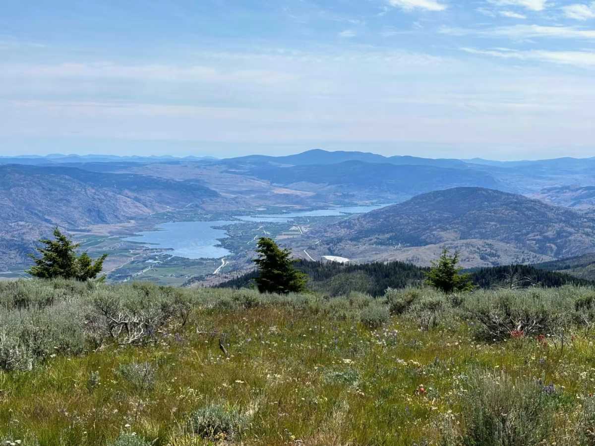 Mount Kobau trail photo