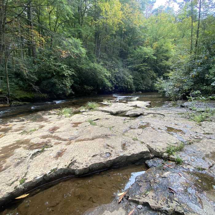 Near Upper Cascades Falls Trail