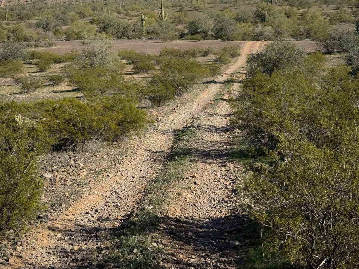 Creosote Run   photo 2