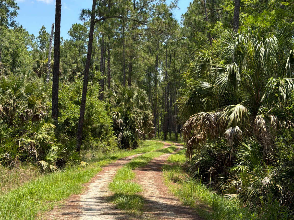 Mary Farms Road trail photo