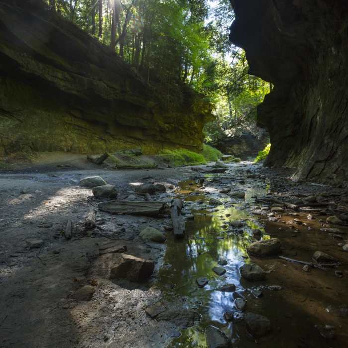 Near Rocky Hollow Falls Canyon Nature Preserve: Trail 3 Near Rocky Hollow Falls Canyon Nature Preserve: Trail 3