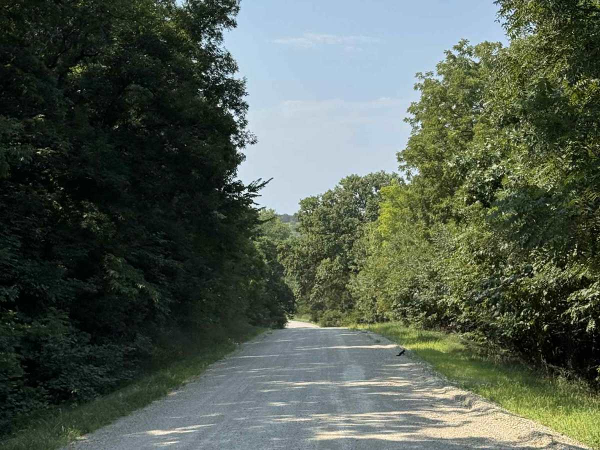 River Run Spur photo 5