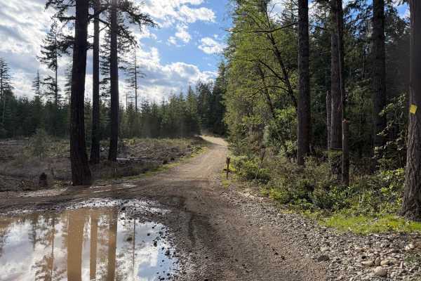 Goat Ranch Road