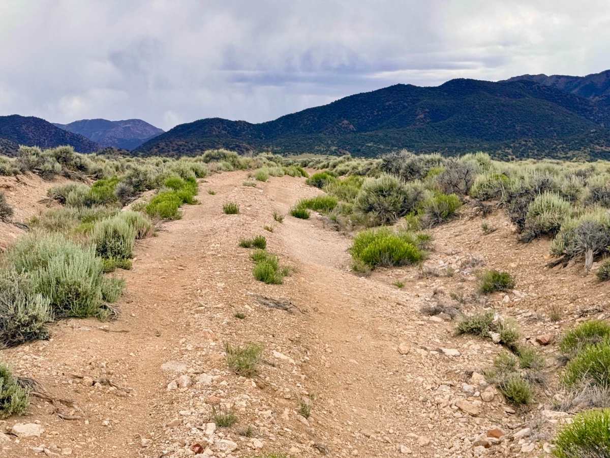 House Canyon Cutoff Road photo 4